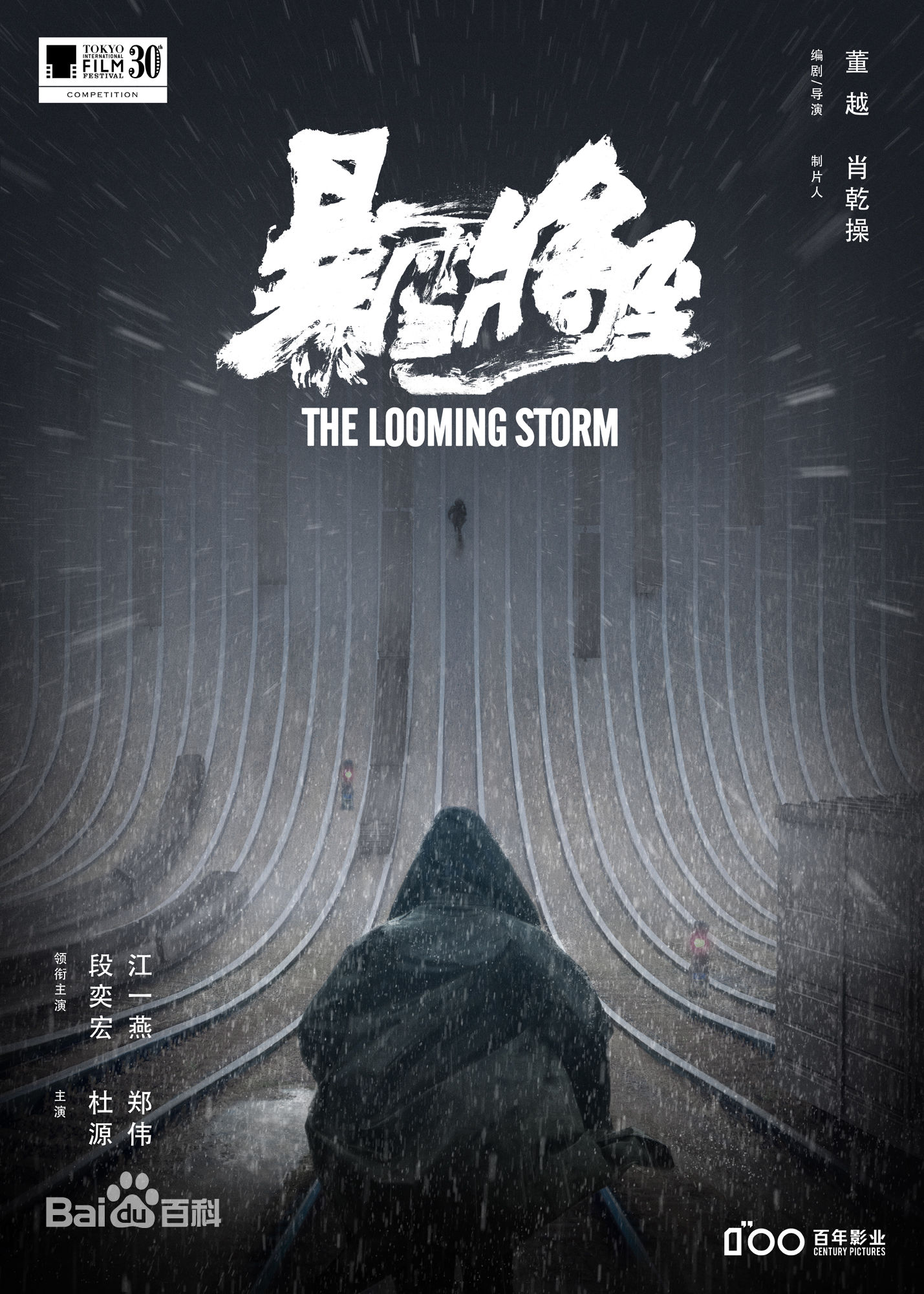 The Looming Storm poster